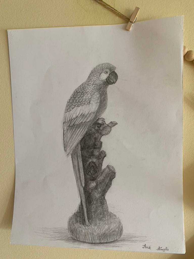 Art Work 4